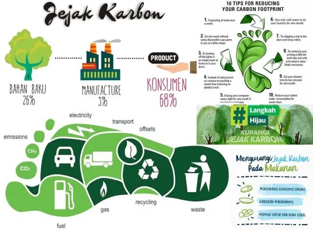 Dari Mana Jejak Karbon Berasal? Menelusuri Aktivitas Sehari-hari yang Memproduksi Gas Rumah Kaca