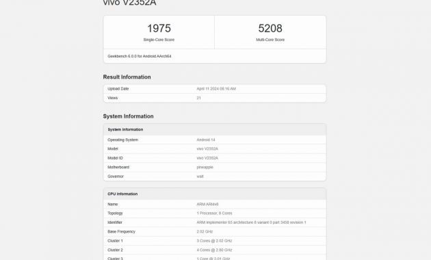 GeekBench dengan skor single-core 1975 dan skor multi-core 5208