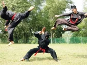 Dari Mana Pencak Silat Berasal