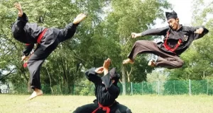 Dari Mana Pencak Silat Berasal