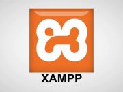 Apa itu XAMPP? Bagaimana Cara Kerjanya? Apakah XAMPP Aman untuk Productions?