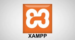 Apa itu XAMPP? Bagaimana Cara Kerjanya? Apakah XAMPP Aman untuk Productions?